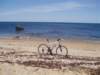 wemountainbikedthe6mileroadaroundblockislandhereismyadshotforgtbicycles_small.jpg