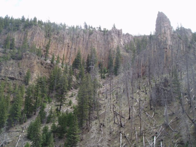 youcanstillseeevidenceofthe1988forestfiresatyellowstone.jpg