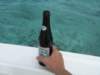 belikinbelizesbeer_small.jpg